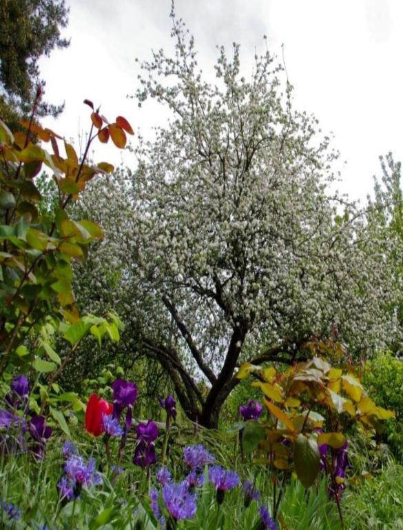 Le Grand Jardin Acomodação com café da manhã Beaune  Exterior foto
